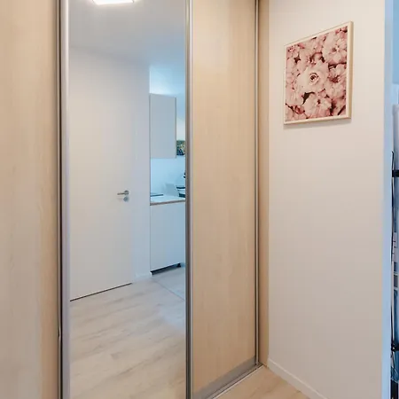 Apartment Airport With Balcony